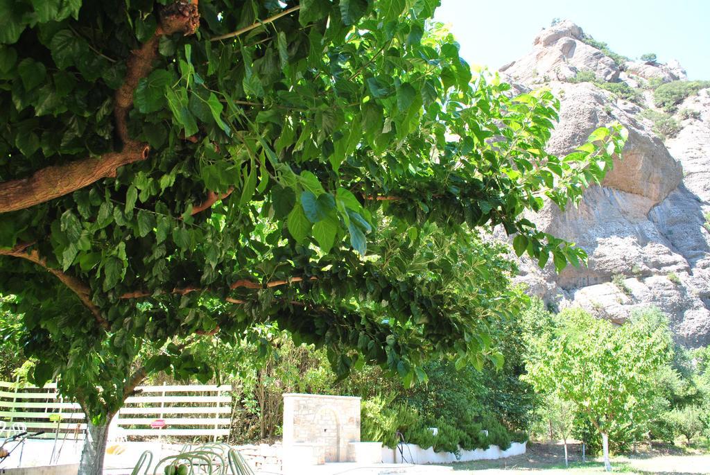 Guesthouse Eleftherios Калаврита Экстерьер фото