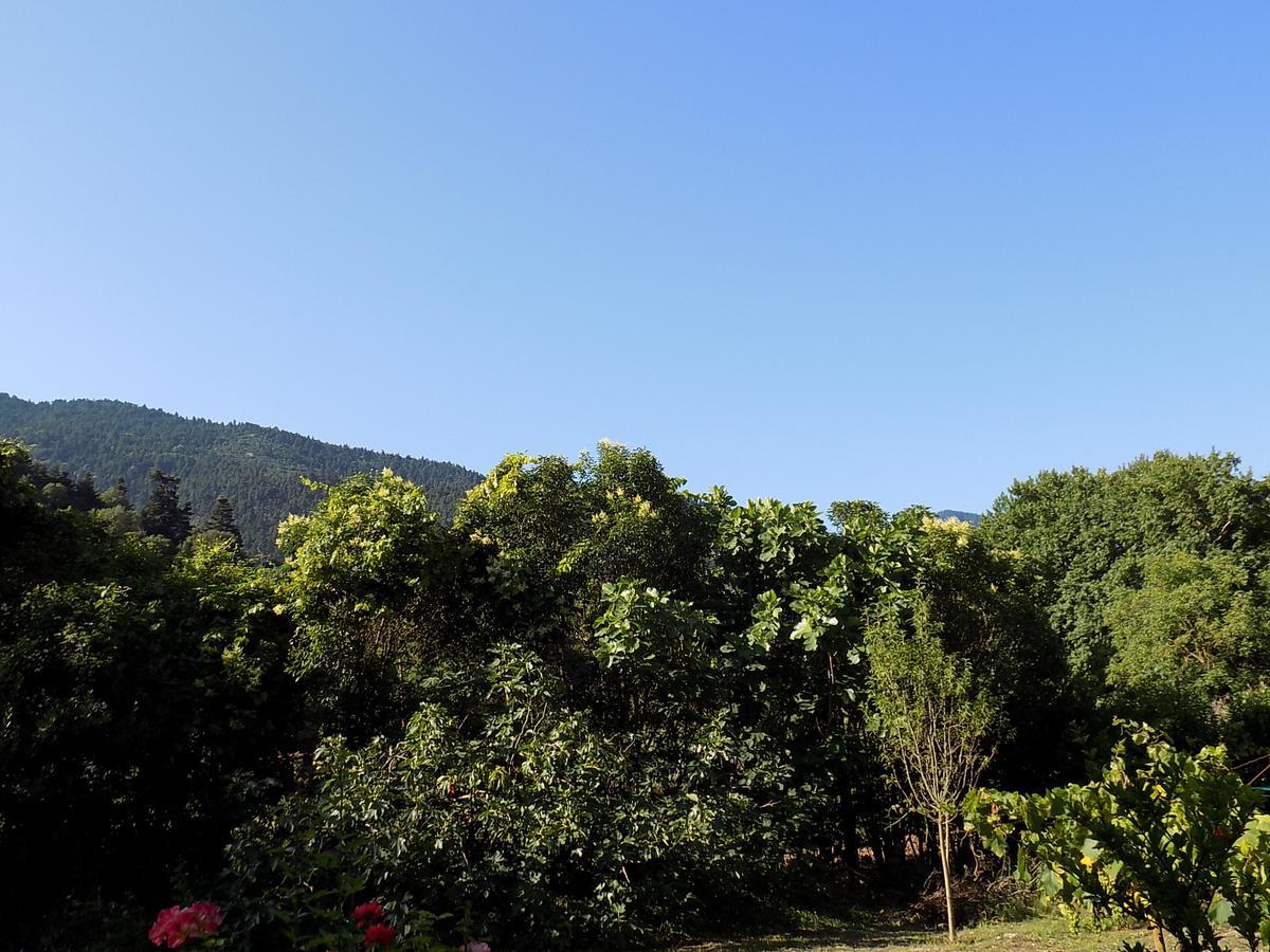 Guesthouse Eleftherios Калаврита Экстерьер фото