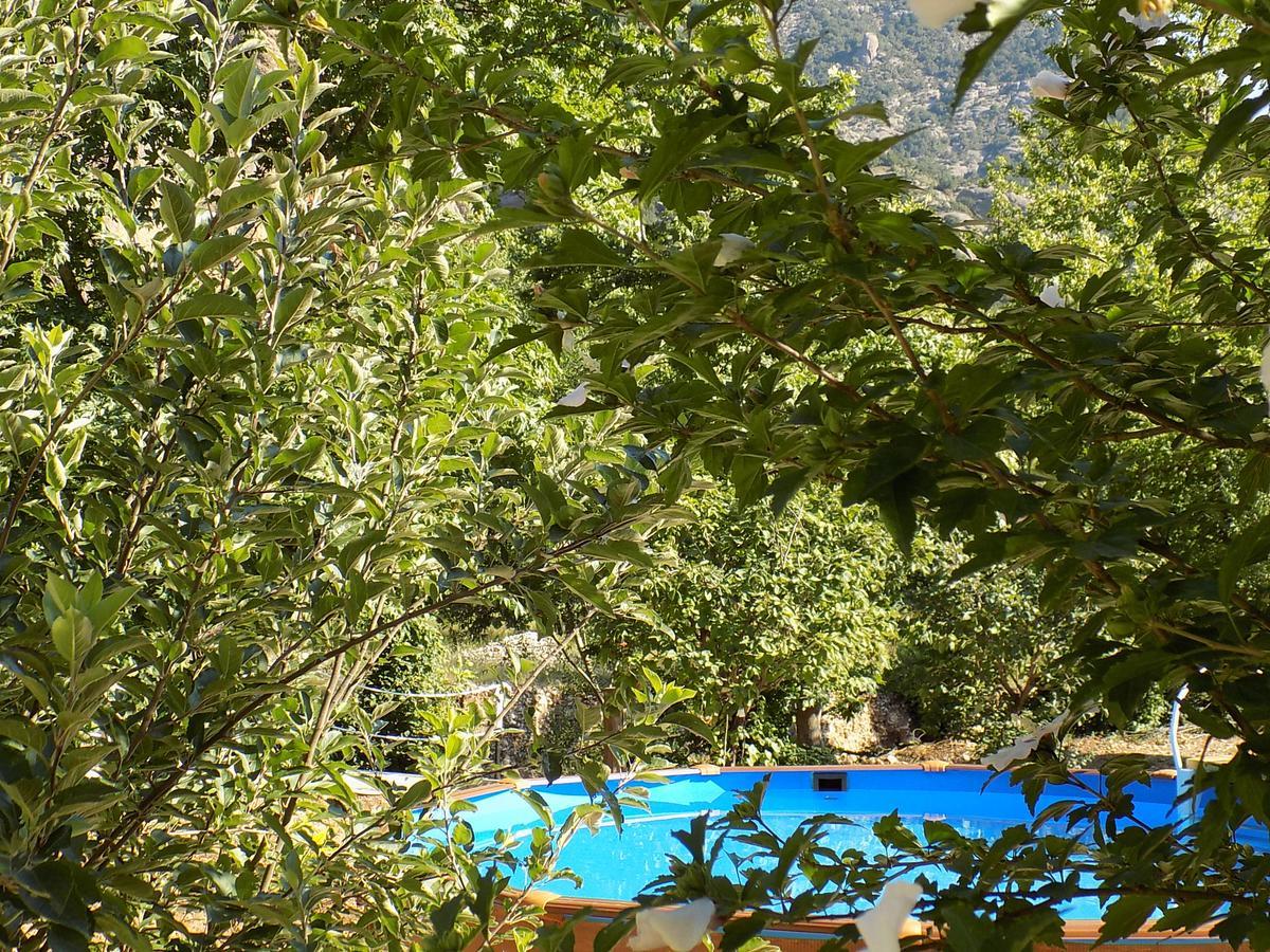 Guesthouse Eleftherios Калаврита Экстерьер фото
